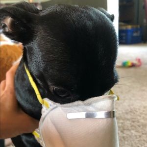 Meet your Posher, Violet